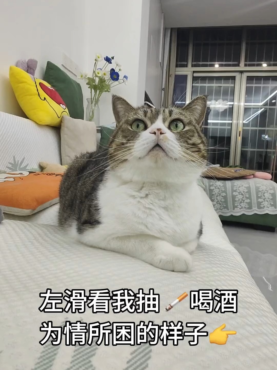 补卡2建议左滑