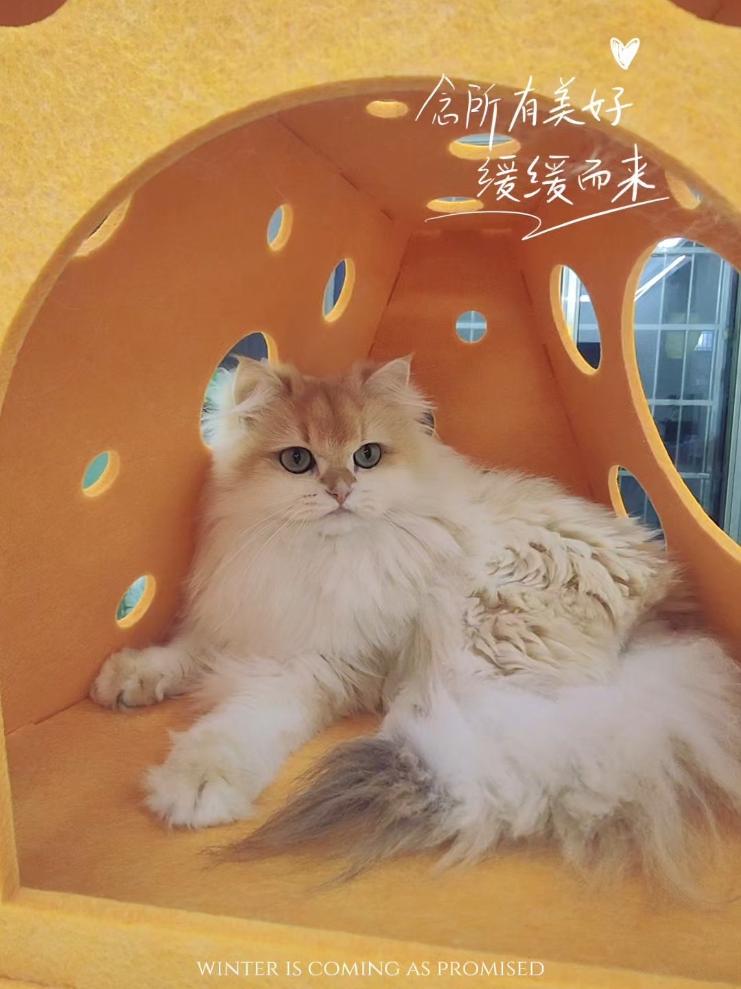 很喜欢嘛