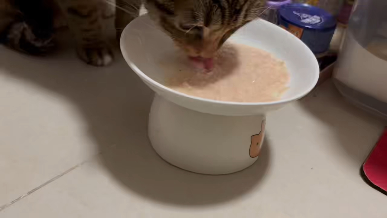 斯文的小梨花28