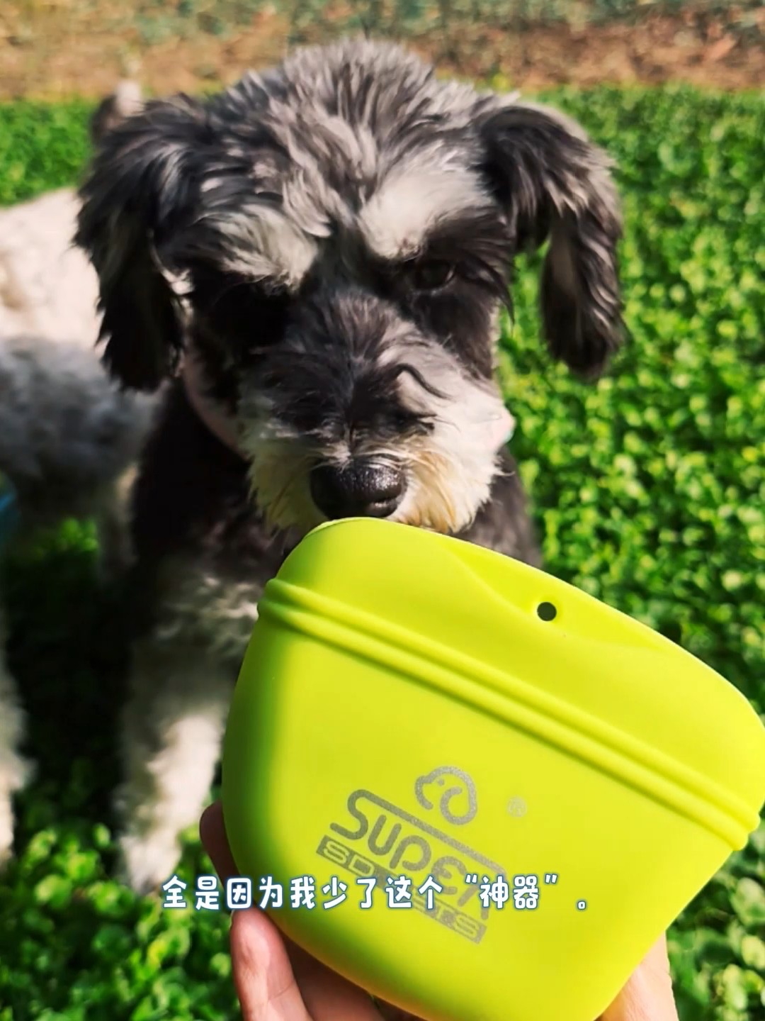 休普训犬包开箱|从此变身专业训犬人💪