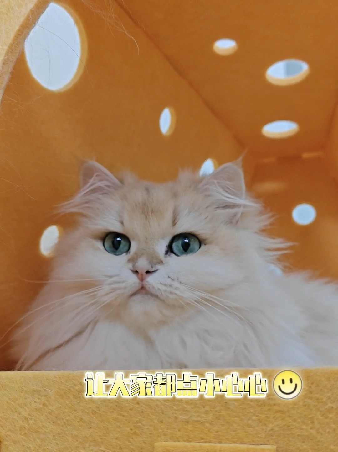 妈妈,我是宝宝吗?