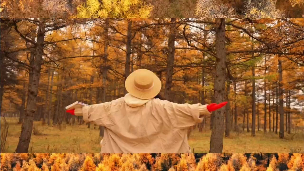 朔州的秋天真美，在这里我画上十月的尾巴。黑驼山的层林尽染，是打翻的调色盘；广武长城在夕阳下苍茫如画，像时光的诗行。捧一碗滚烫的羊杂，就着秋凉下肚——这是独属于朔州的温暖。把最后的秋光，藏进记忆的褶皱里。