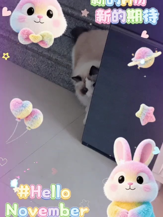 太可爱了💞💞💞