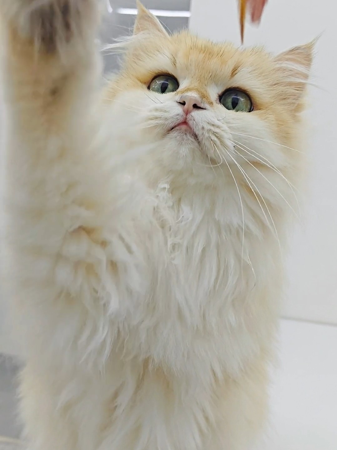 谁看谁不迷糊？