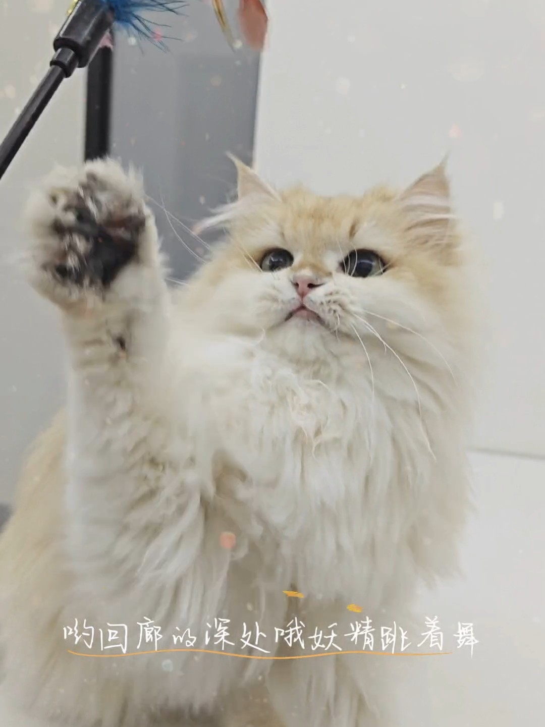 芜湖～漂亮宝宝