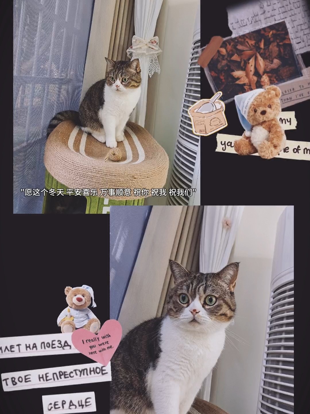 愿这个冬天，平安喜乐