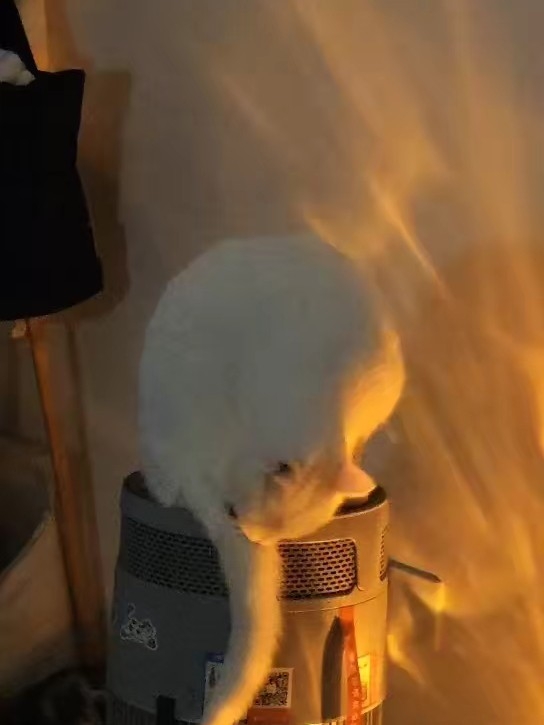 惬意的周末时光