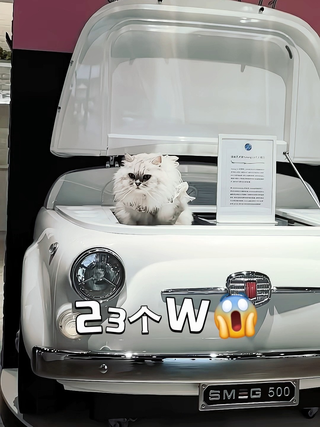 什么冰柜要卖23W啊😱，让咪来体验一下🥰