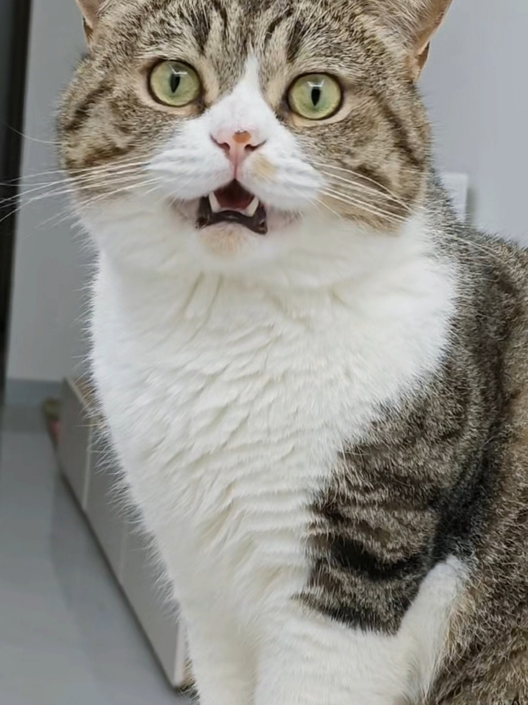 幸福在这一刻具象化了