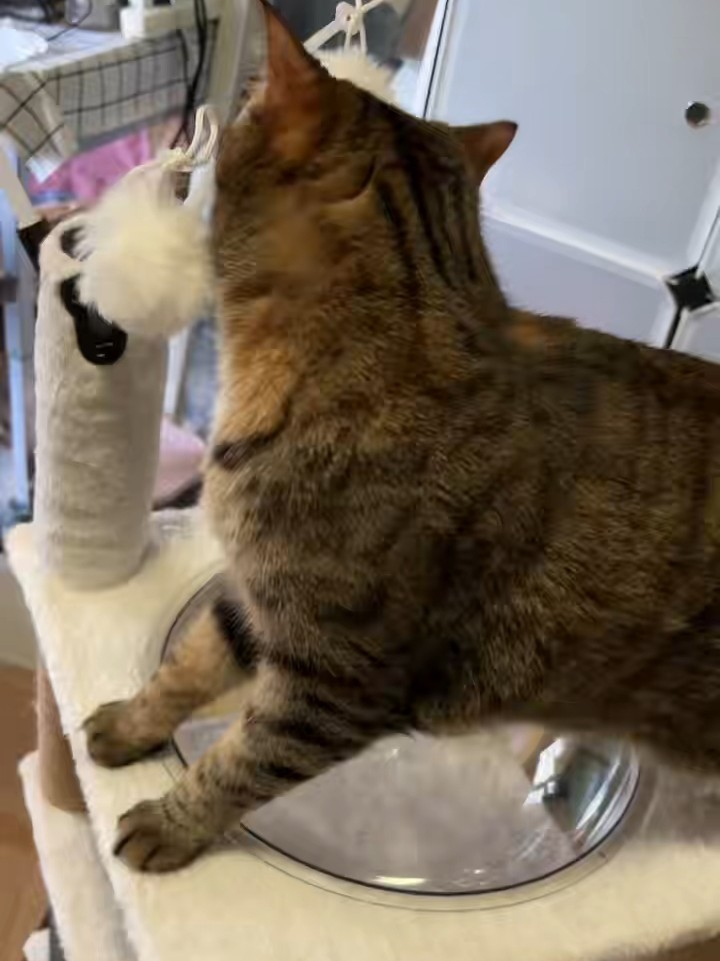 有点害怕航空箱17