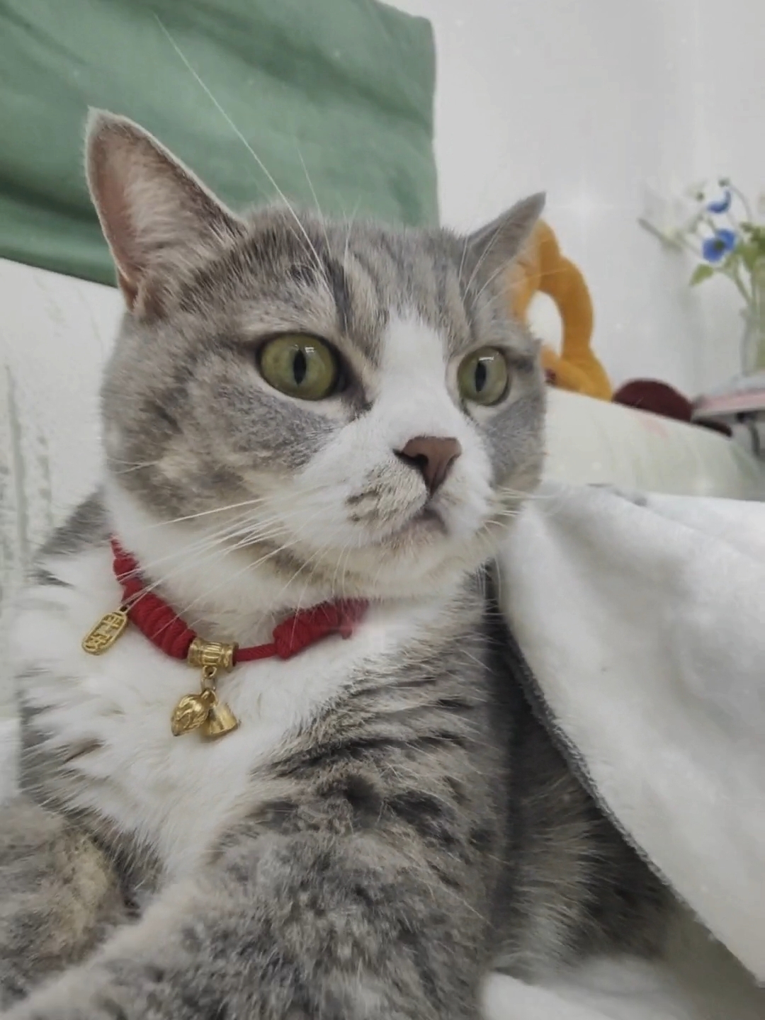 我的运镜怎么样？