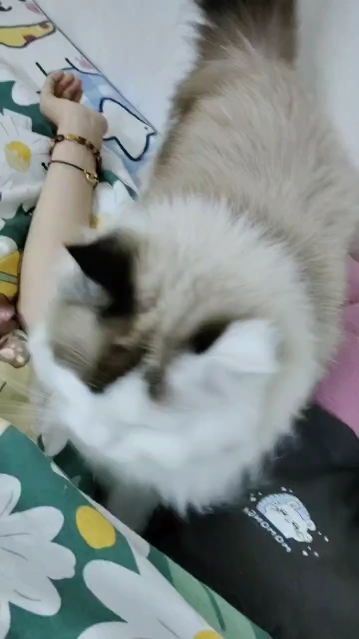 天冷了，总想着钻被子