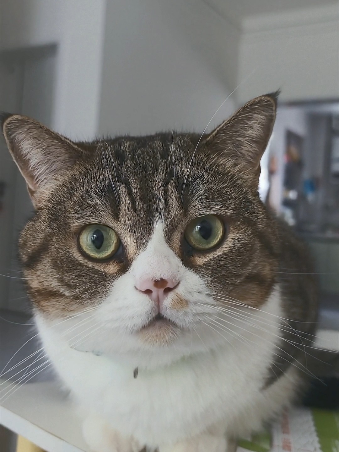 眼里只有妈妈酱