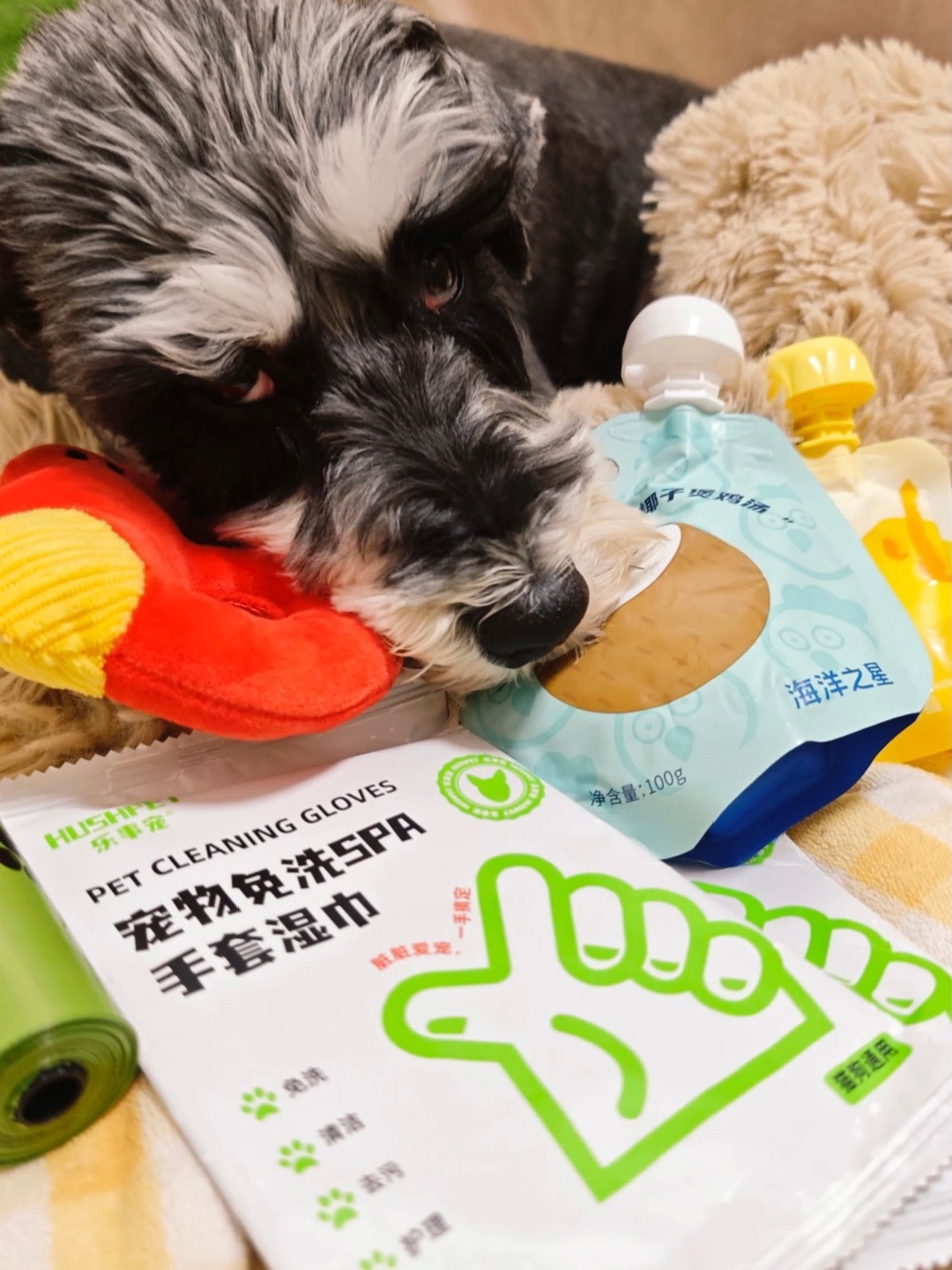 🐕 狗狗盲盒的贴心程度直接拉满！💯