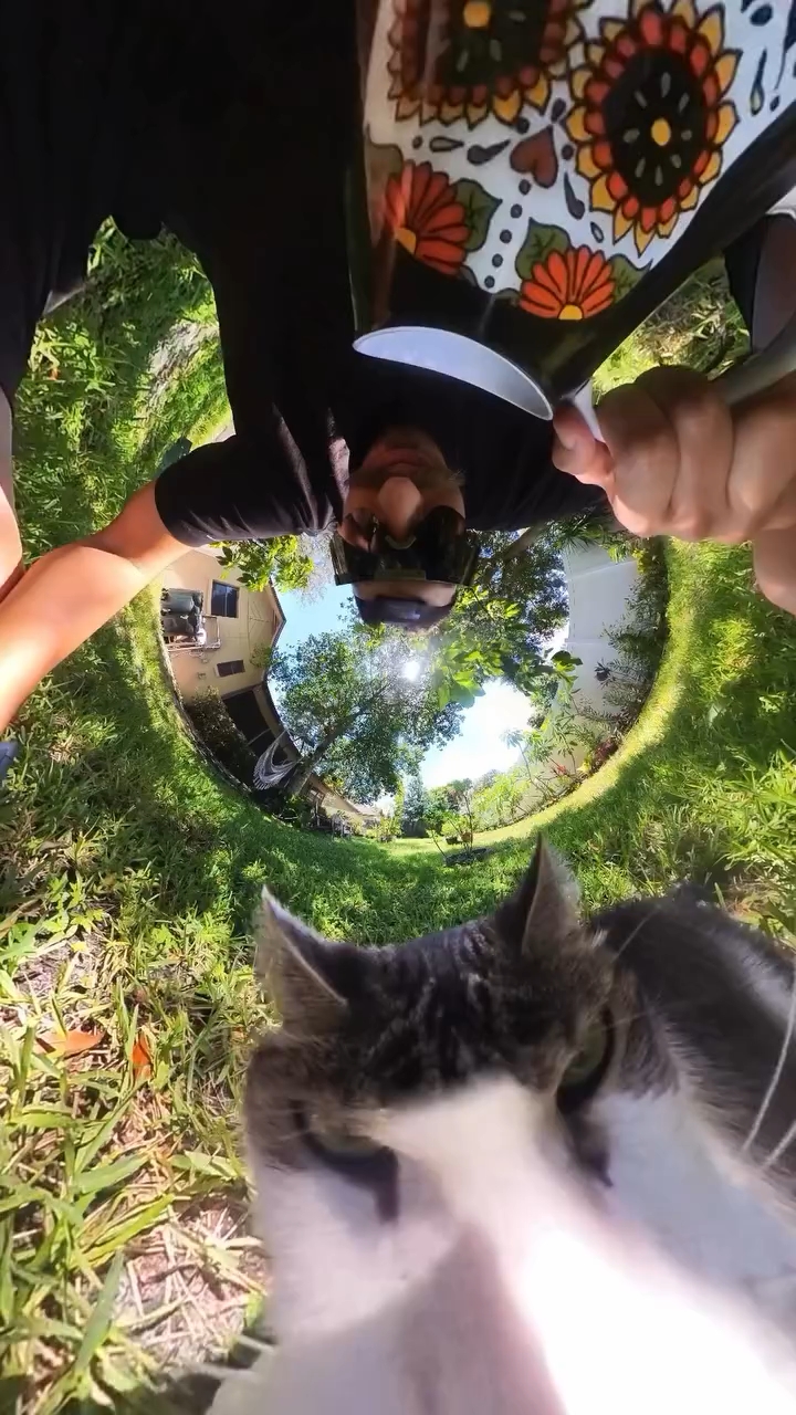 好搞笑的哈基米吃播