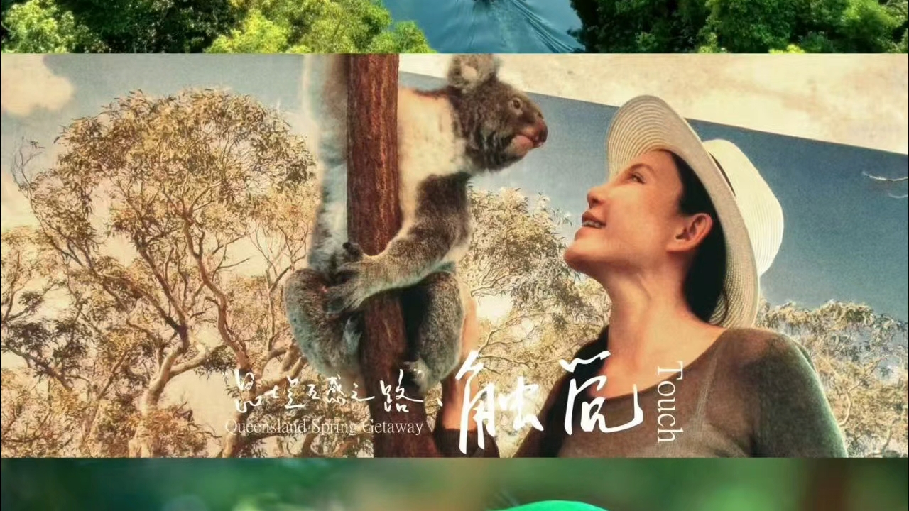 昆士兰的假日从亲近毛茸茸的考拉开启了  文案： 在布里斯班的龙柏考拉保护区，指尖感受考拉绒毛云朵般的柔软，触摸袋鼠的脑袋，体验这份独一无二的度假感，身心也从往日的繁忙中放松下来； 在凯恩斯搭乘银梭号，潜入湛蓝的海中，鱼群从身边穿梭游弋，仿佛逃离了城市生活，一秒进入休假模式，给灵魂充满电； 拾起布里斯班的新农场公园里落下的一朵蓝花楹，触摸时的悸动，是全身心享受度假带来的微妙情绪； 前往圣灵群岛的白天...