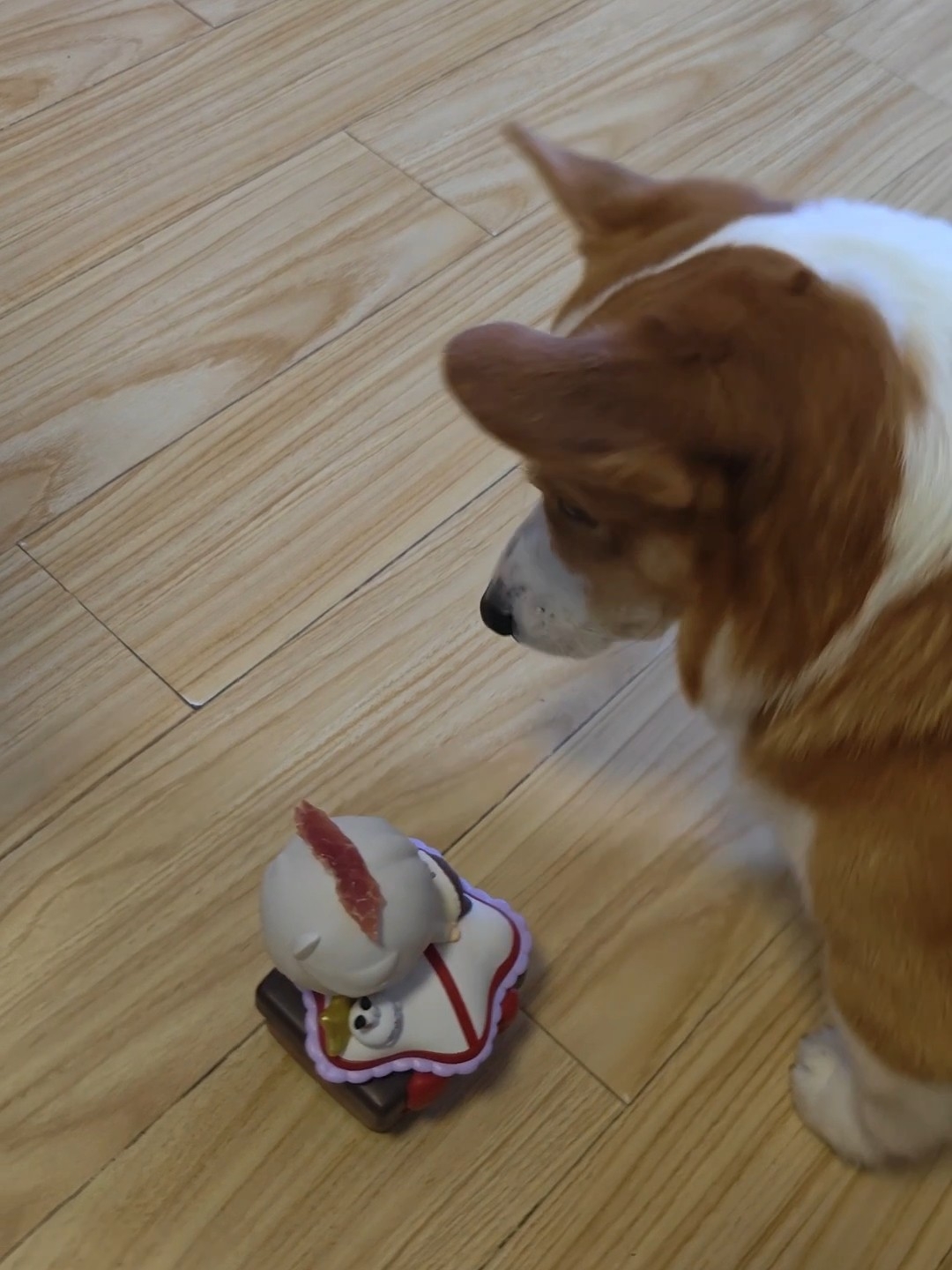 你也喜欢⭐️吗