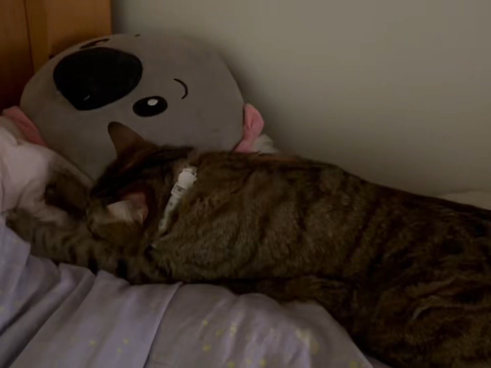 冬天娱乐活动13