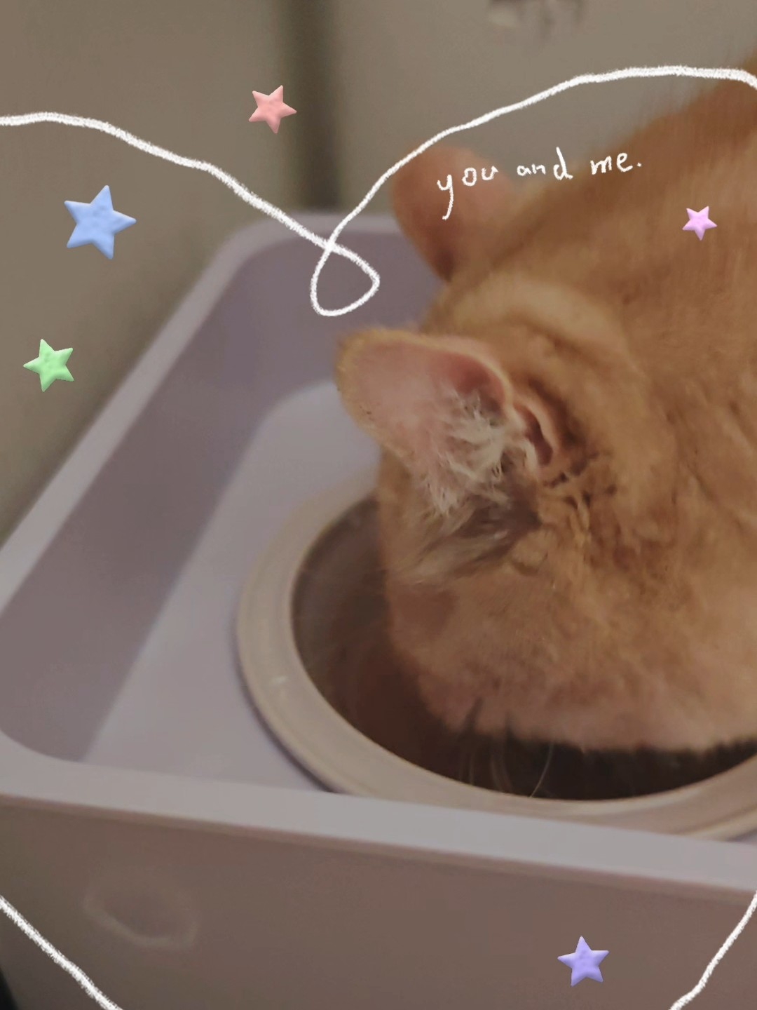 Mango蛮果这个方块碗架真的太可爱了！🥰