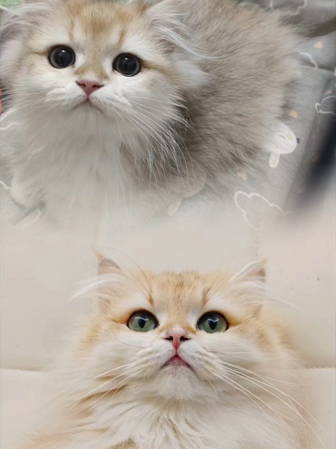 好像突然就长大了