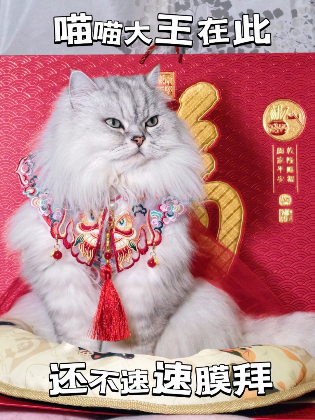 天猫年货节，给咪买🎁了吗