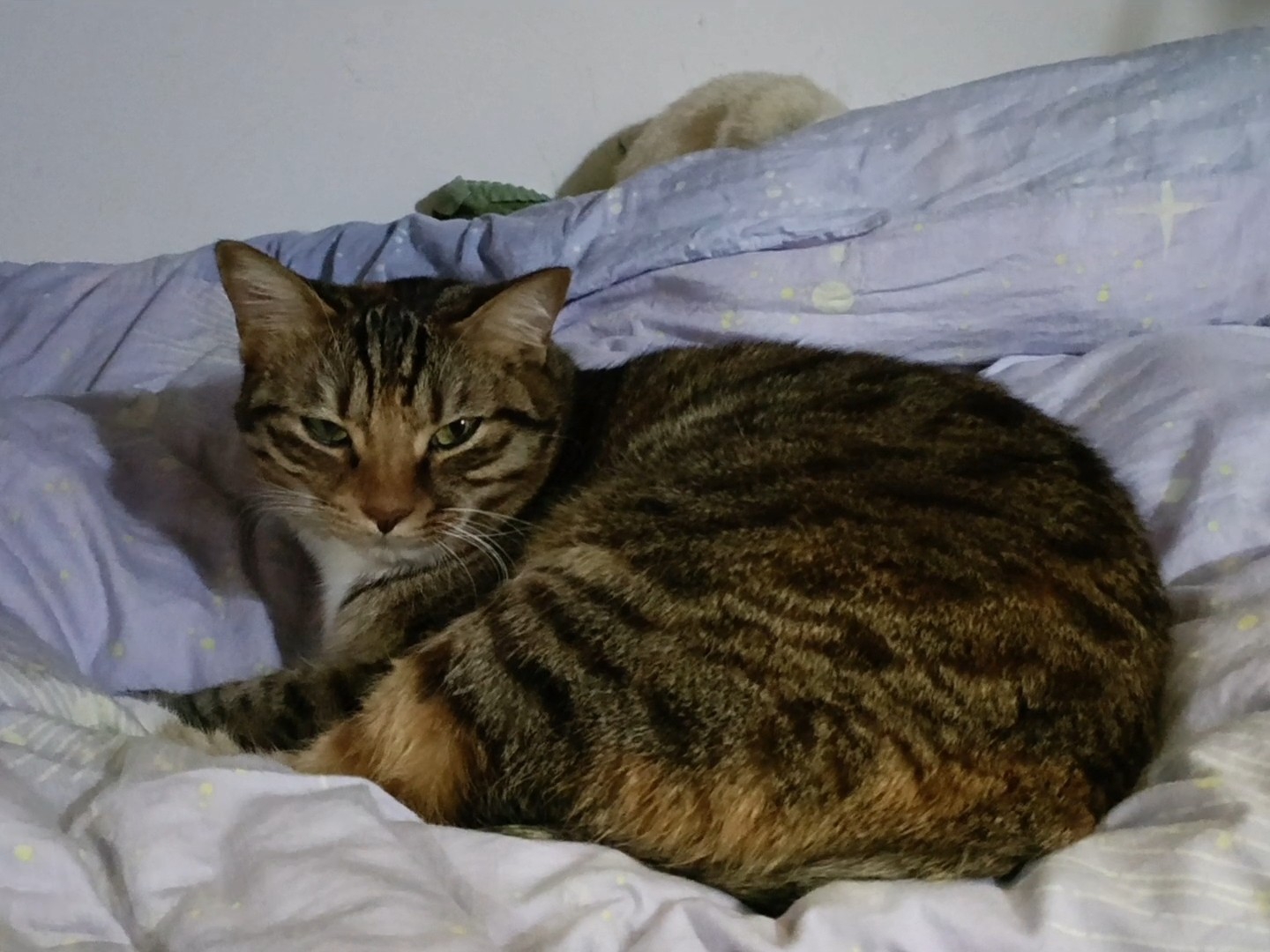 人，不要打扰我睡觉24