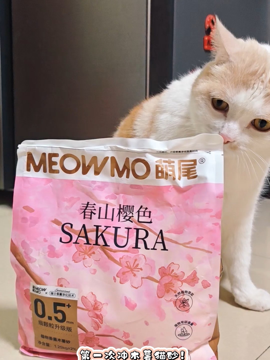 木薯猫砂初体验✨打开新世界