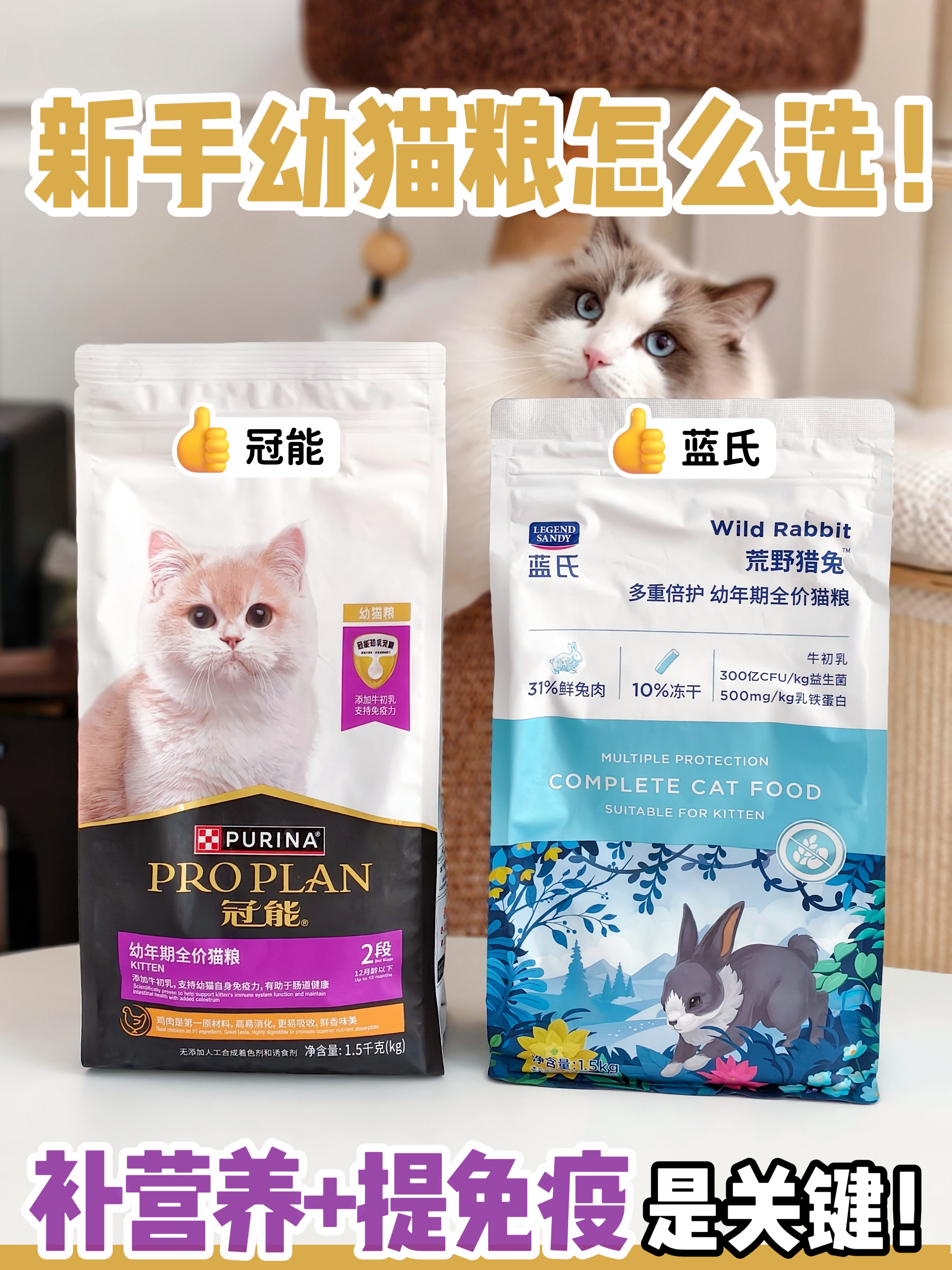 新手养猫必看，幼猫粮怎么选？
