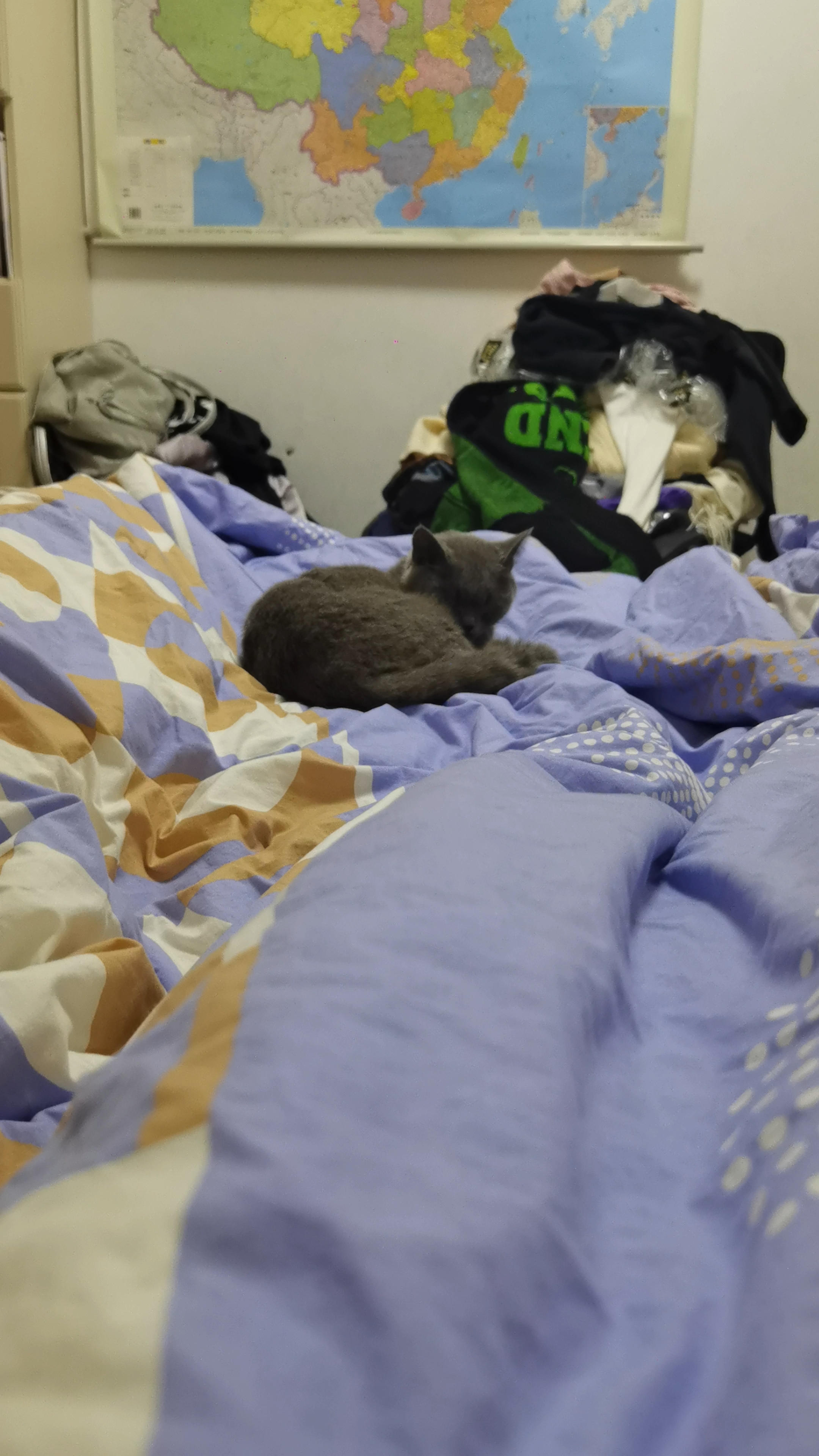 260128 打喷嚏吓妹猪