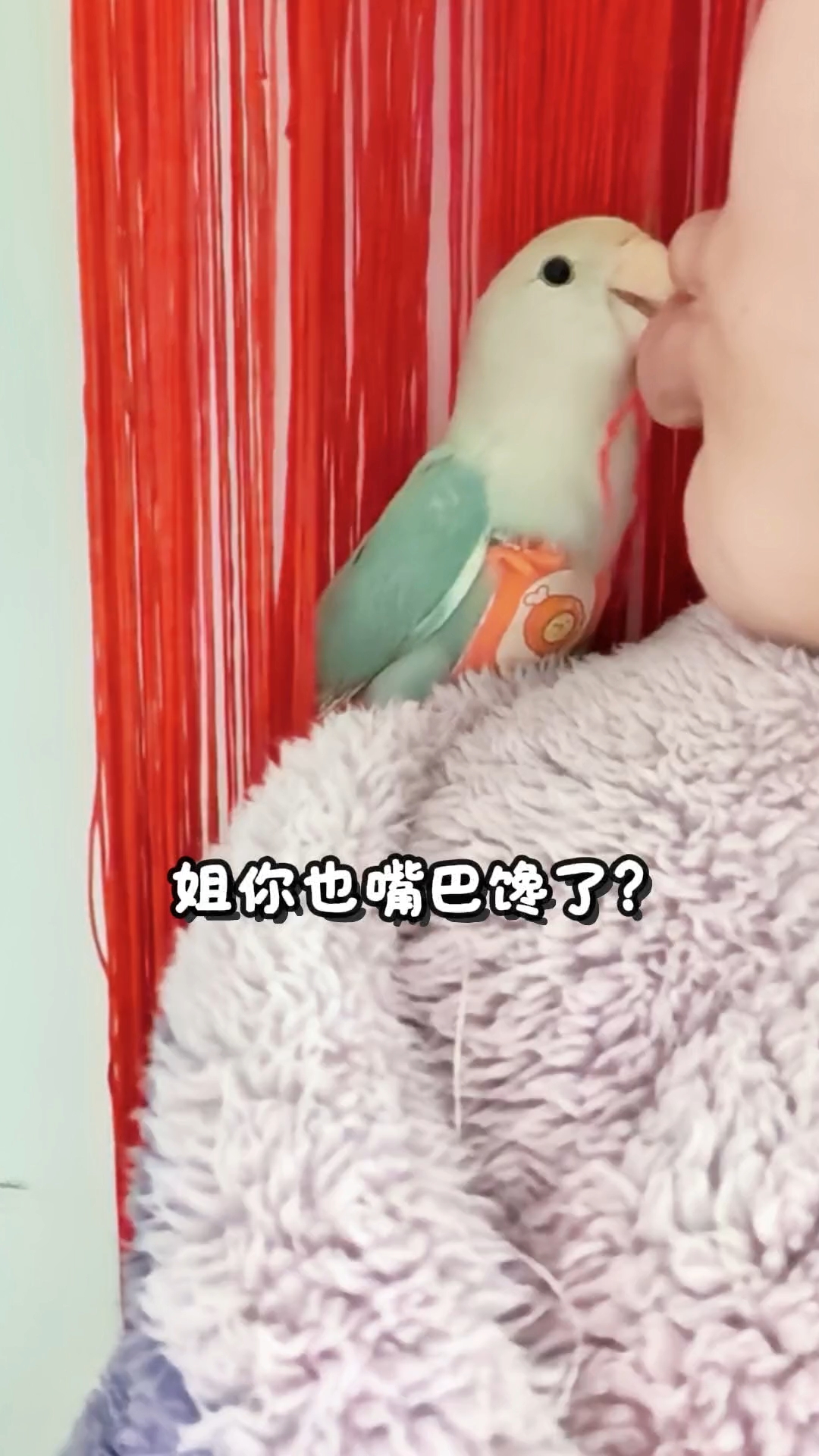 名不虚传尖叫牡丹……