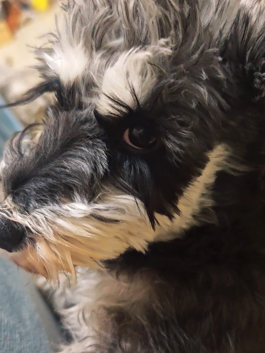 不想玩，想睡觉