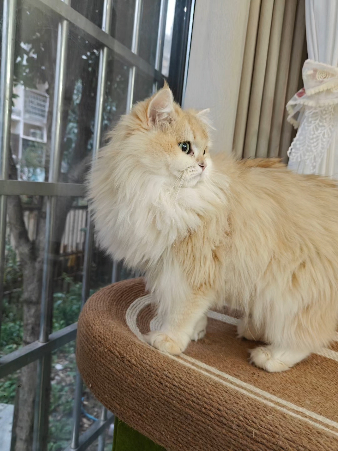 站姿还挺端正的