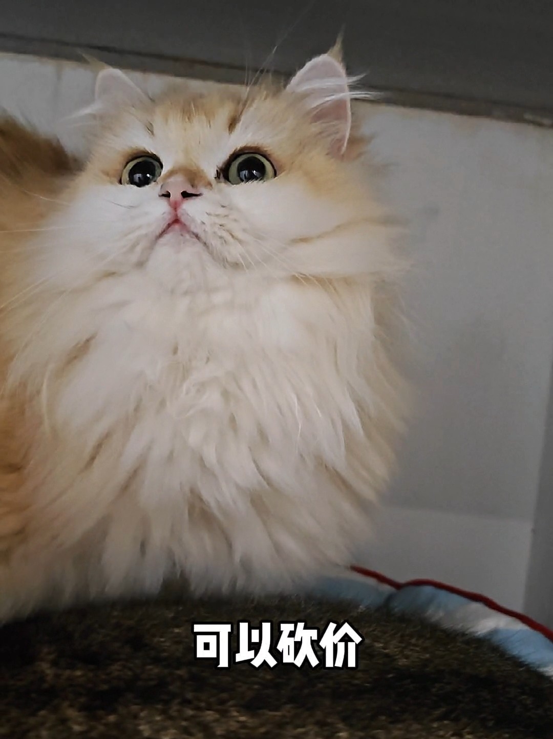 她说要给自己卖了买零食吃