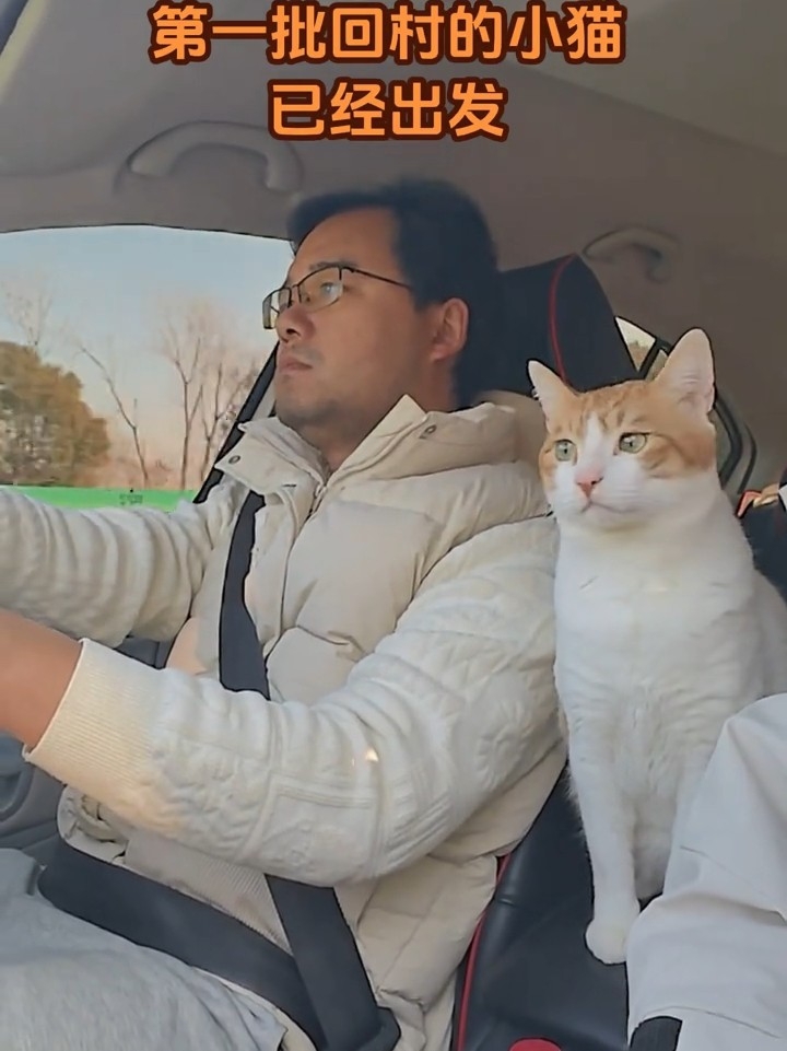 第一批回村的小猫已经坐车出发啦！！带小猫回家一起过春节啦！！@西五街饲养员