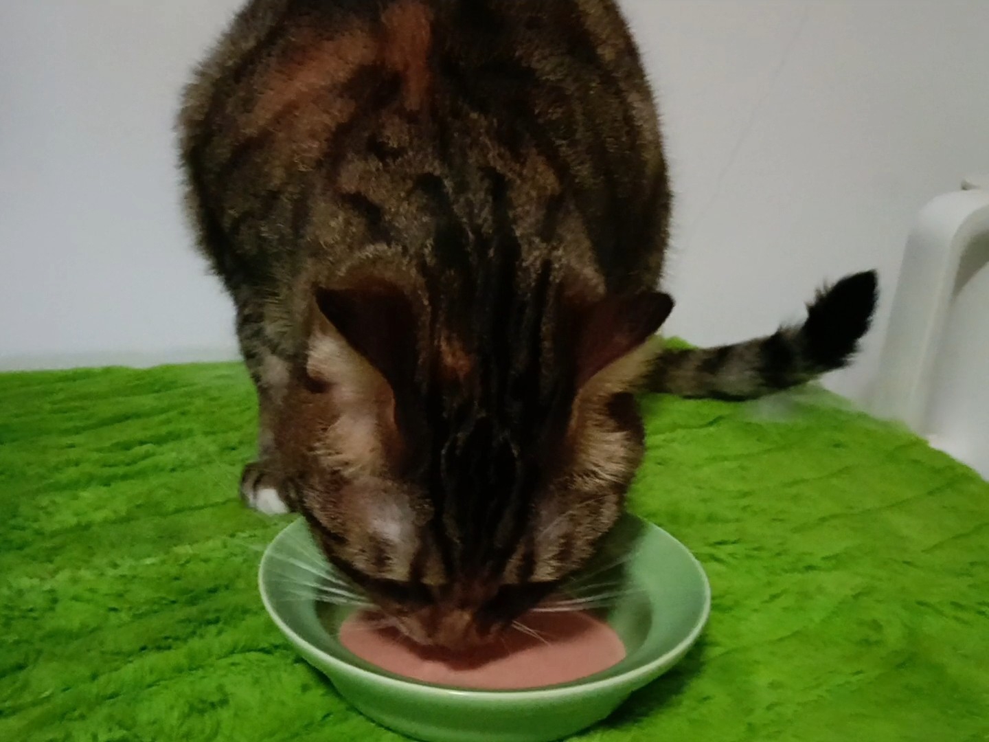 粉红色的浪漫09