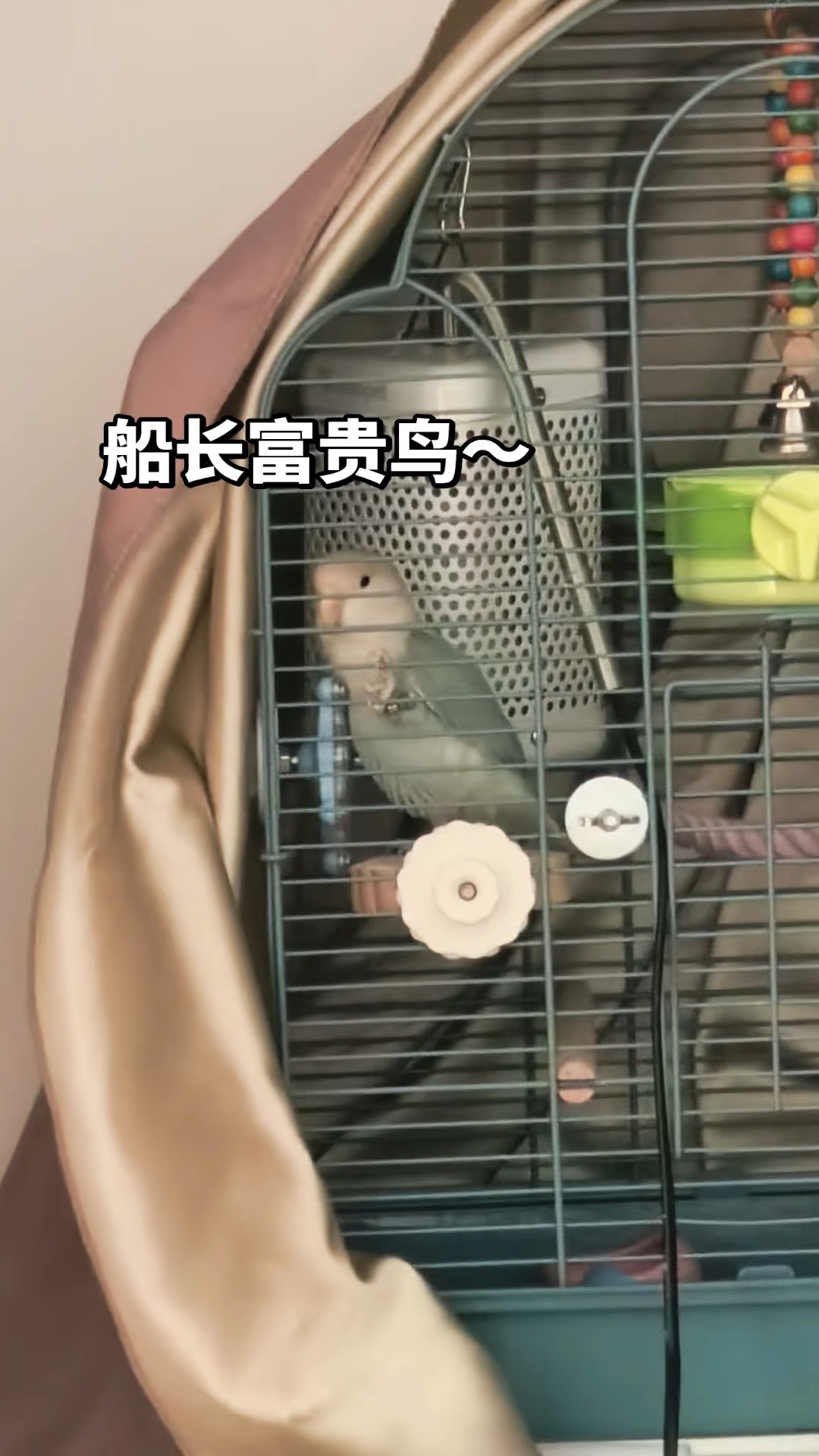 船长富贵开船咯！她真的很聪明！