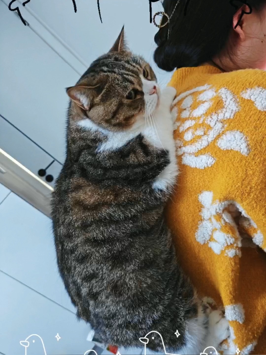 什么，还要背呢！