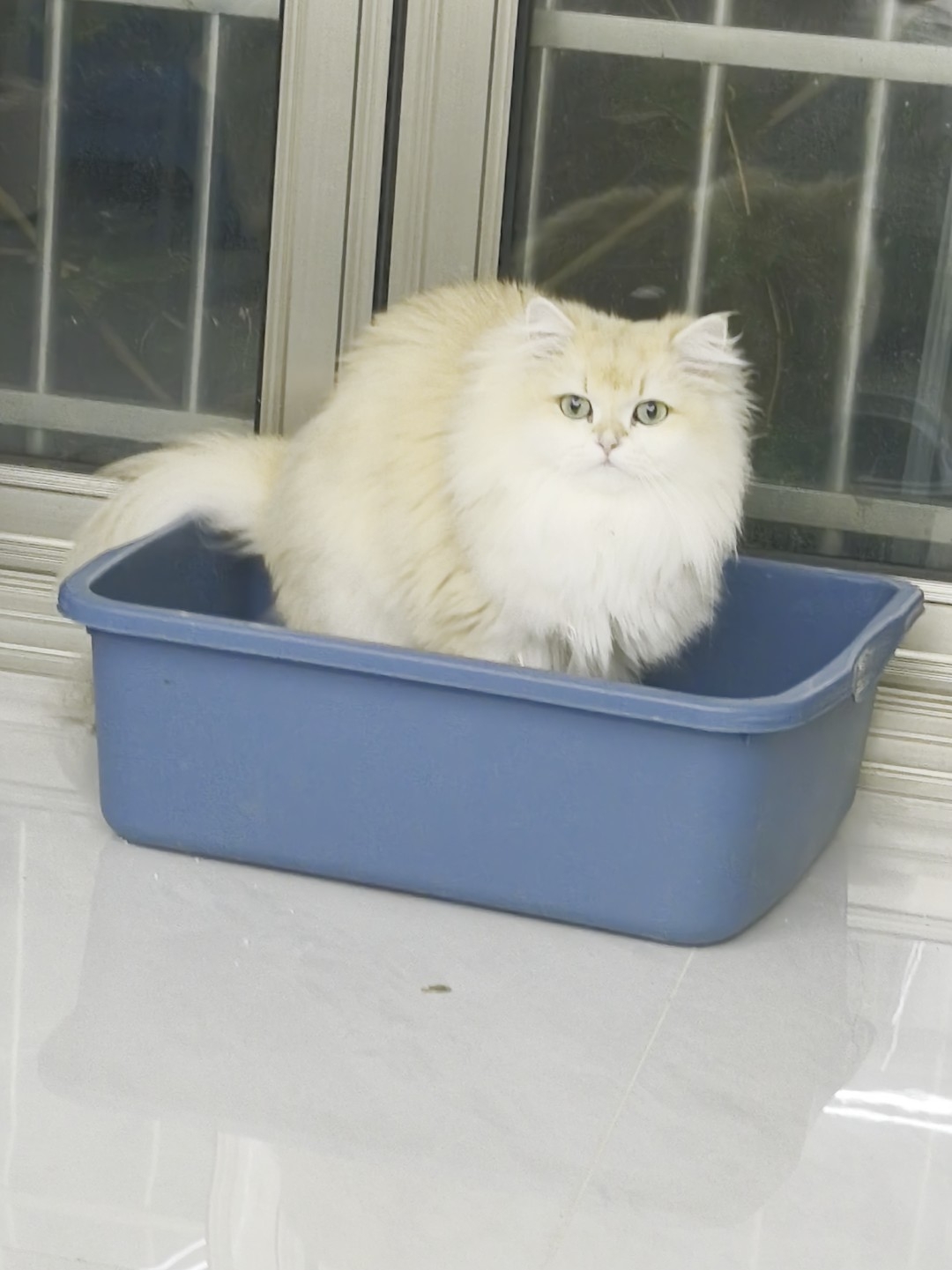 被偷拍了，还一脸懵！