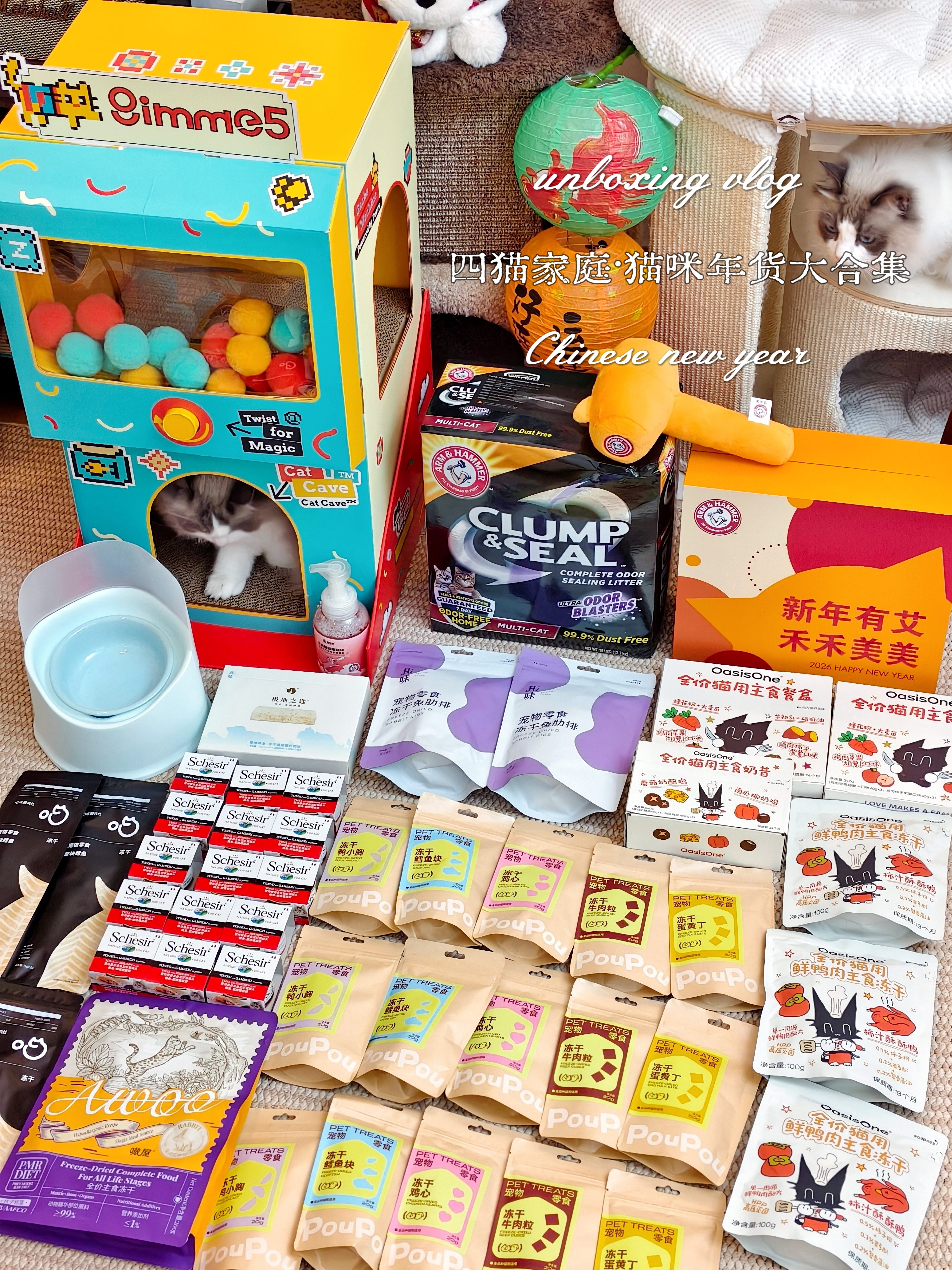 🧨猫咪年货合集🧨