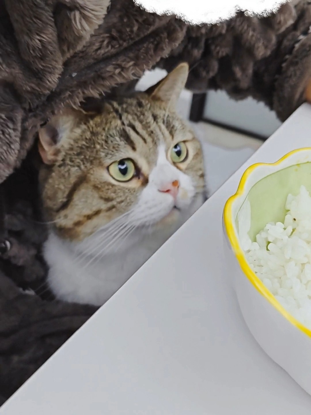 吃个饭还要抱着