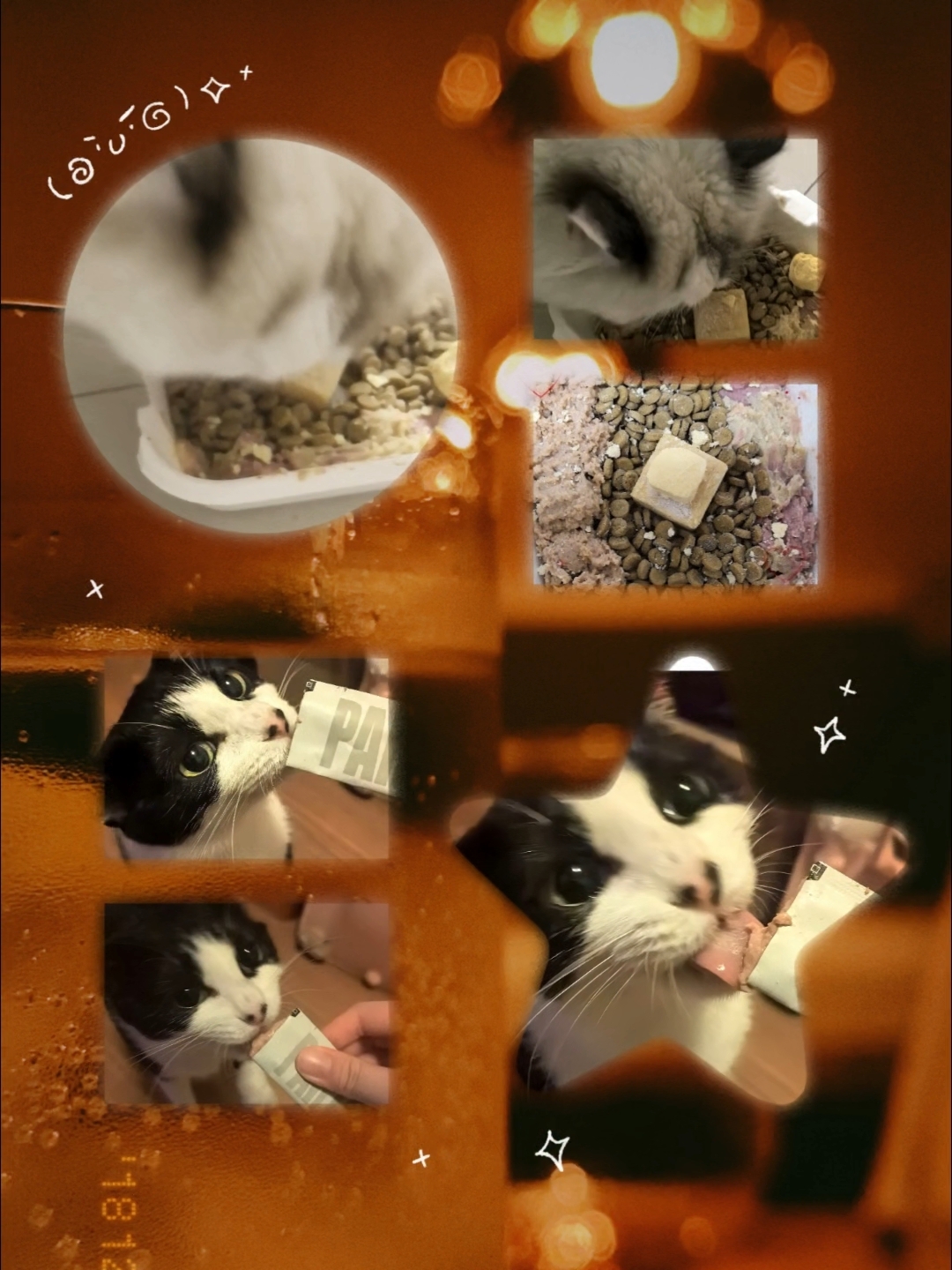 咪吃一大口年夜饭！！🥰