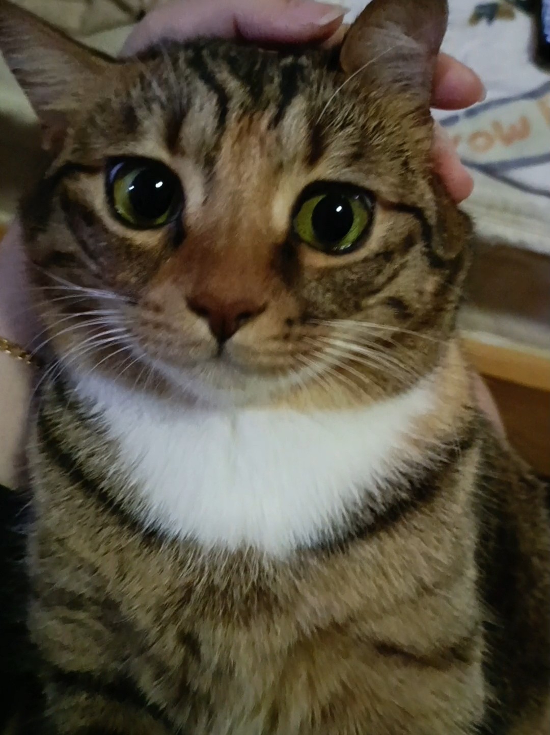 小宝这个大眼睛19