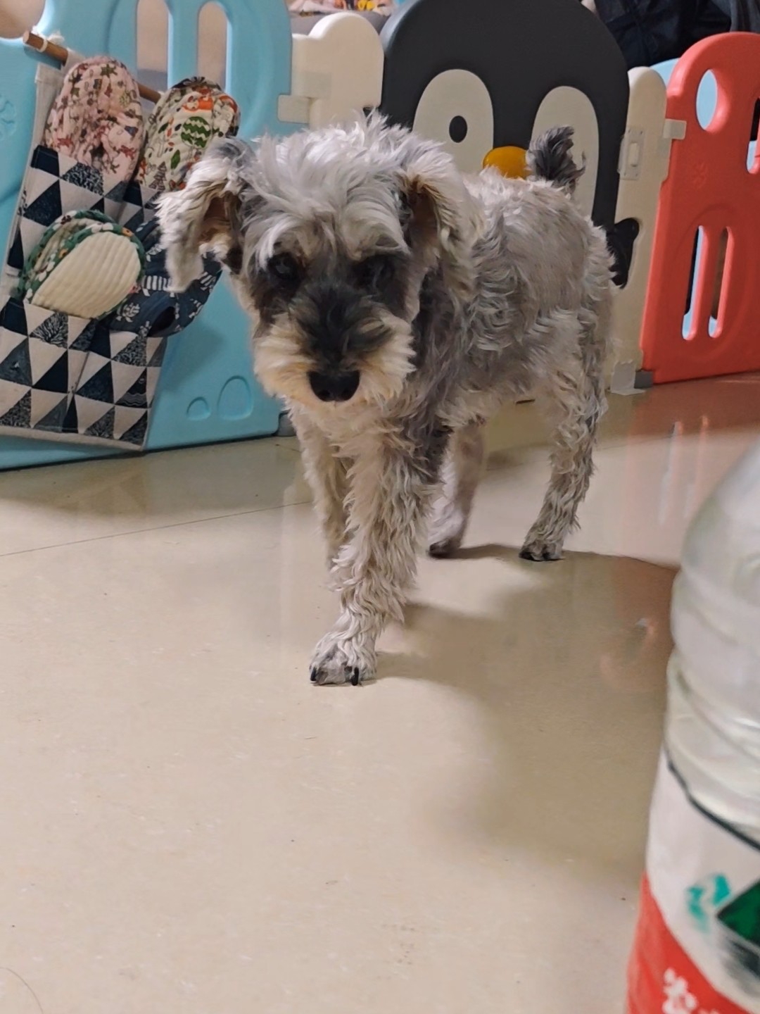 大年初四啦！日子好快啊