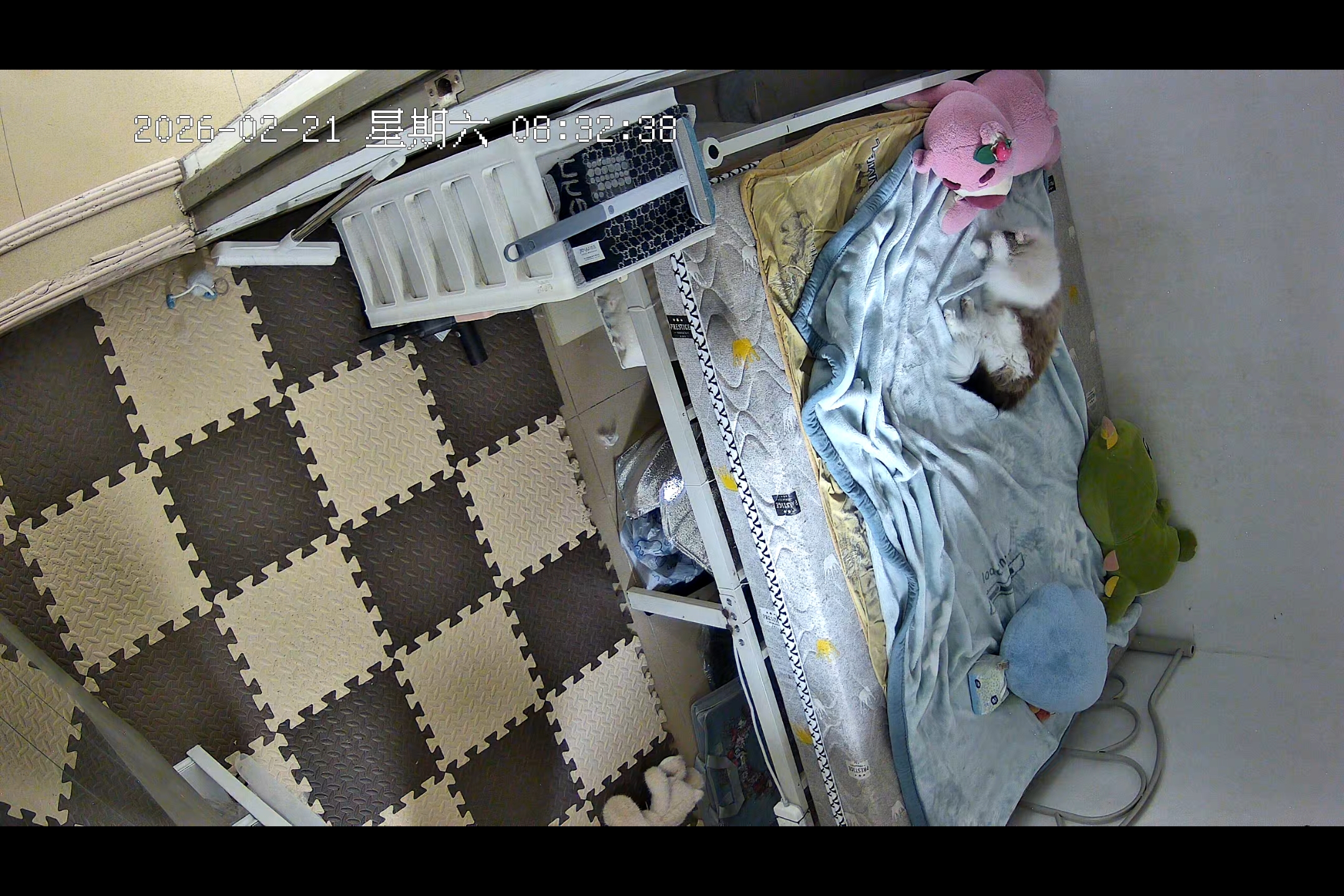 一个人也要好好生活咪