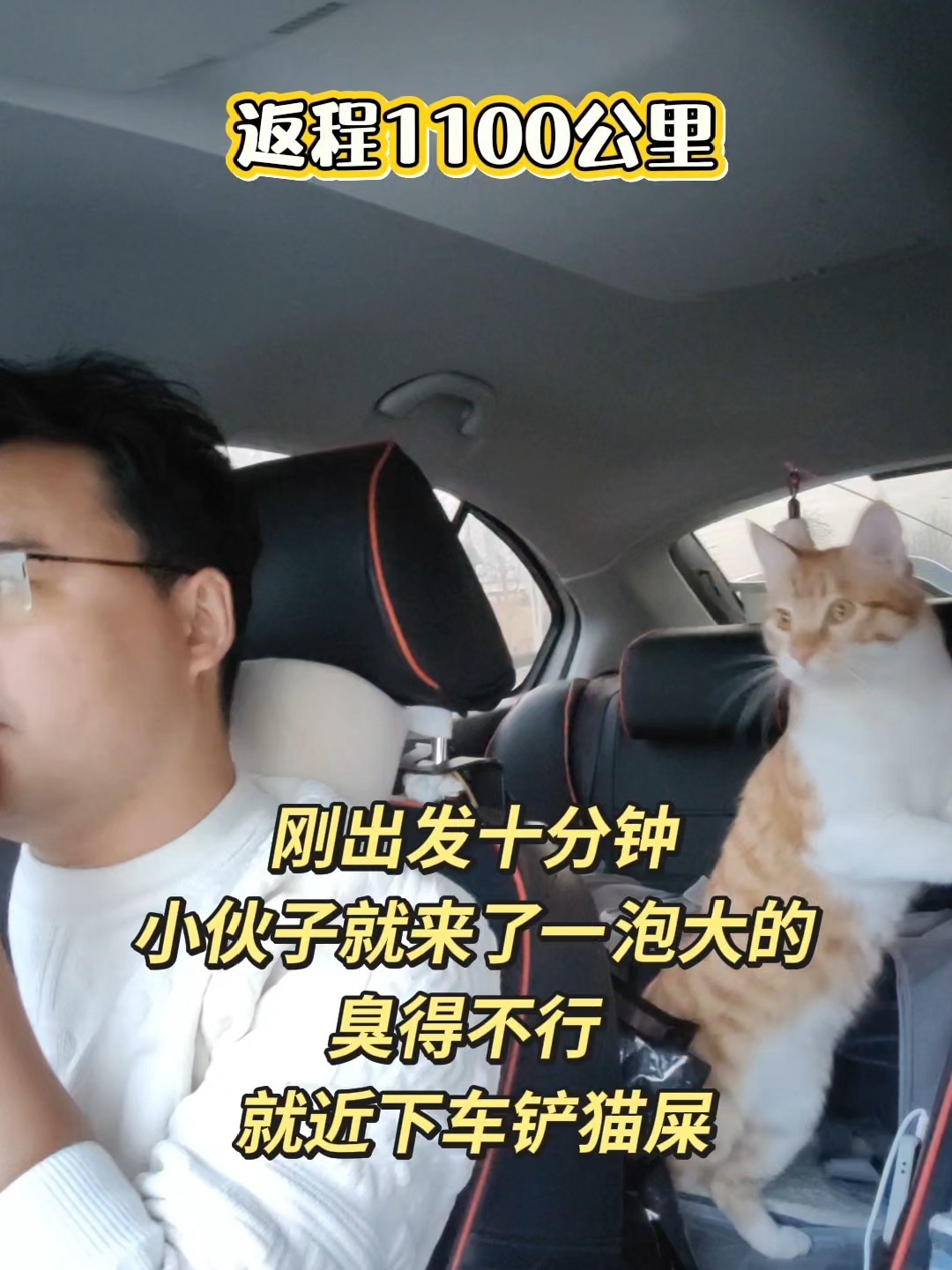 刚上车就拉屎，这也是没谁了，小猫王二咪干得漂亮！