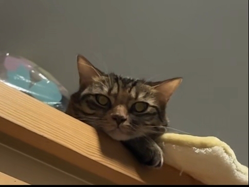 就这样静静看着我23