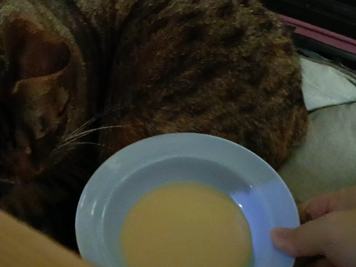 送到窝里去呀24