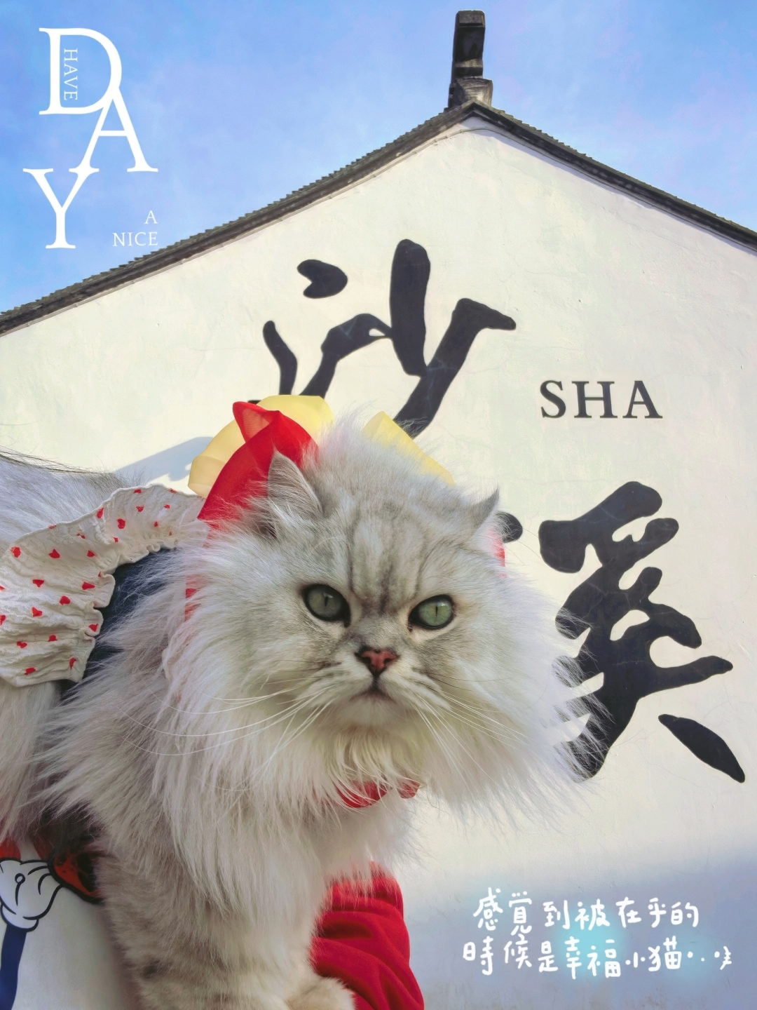 春节最后一天好天气🌟，太仓我来啦🌈