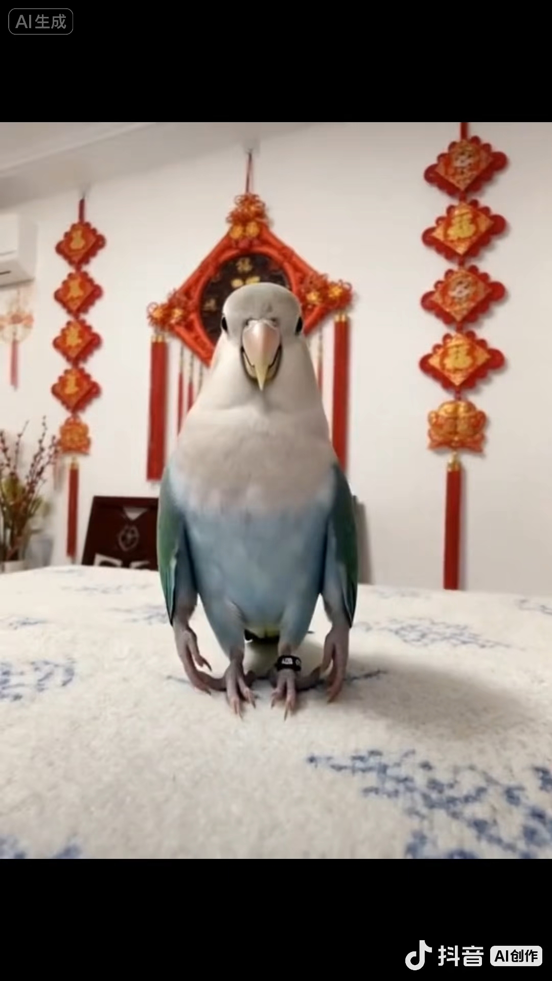 第一届村舞冠军来咯！