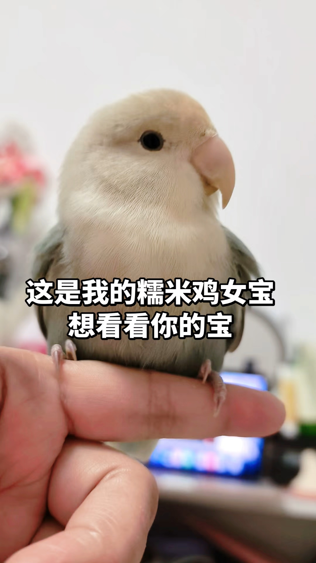 处？嫁妆2斤黄小米！